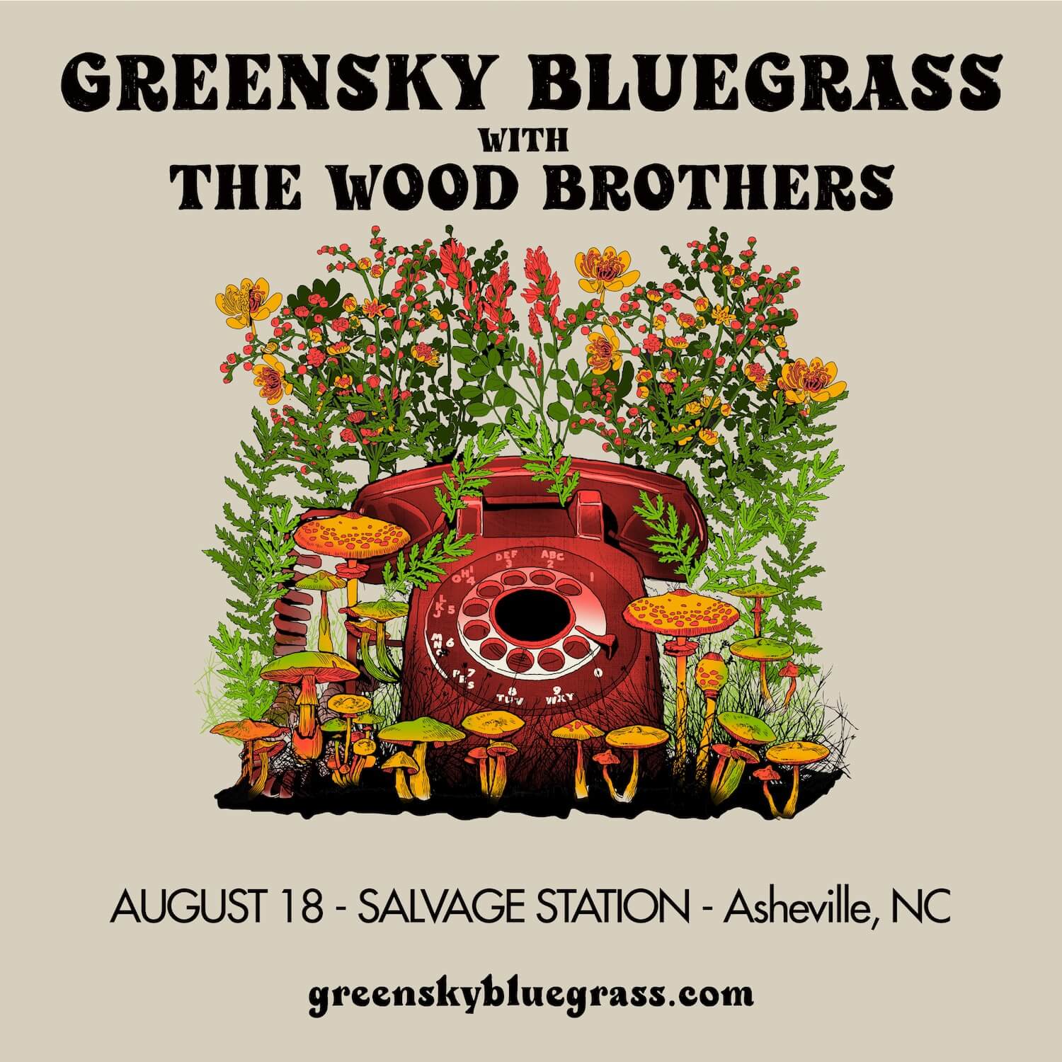 Greensky Bluegrass *LOW TICKET ALERT*