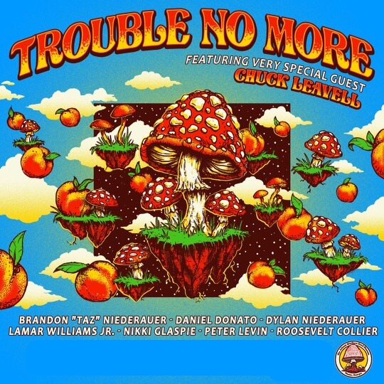Trouble No More